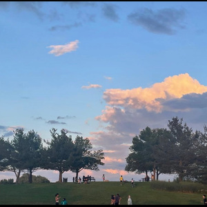 欧美videos另类极品
