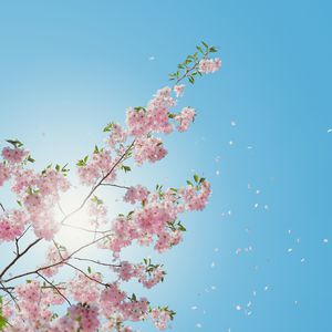 欧美videos另类极品
