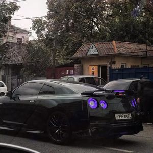 欧美videos另类极品
