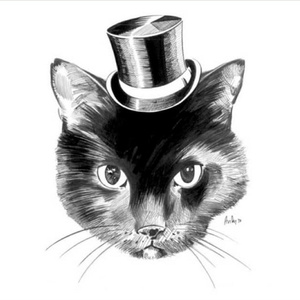 欧美videos另类极品
