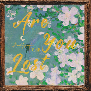 欧美videos另类极品
